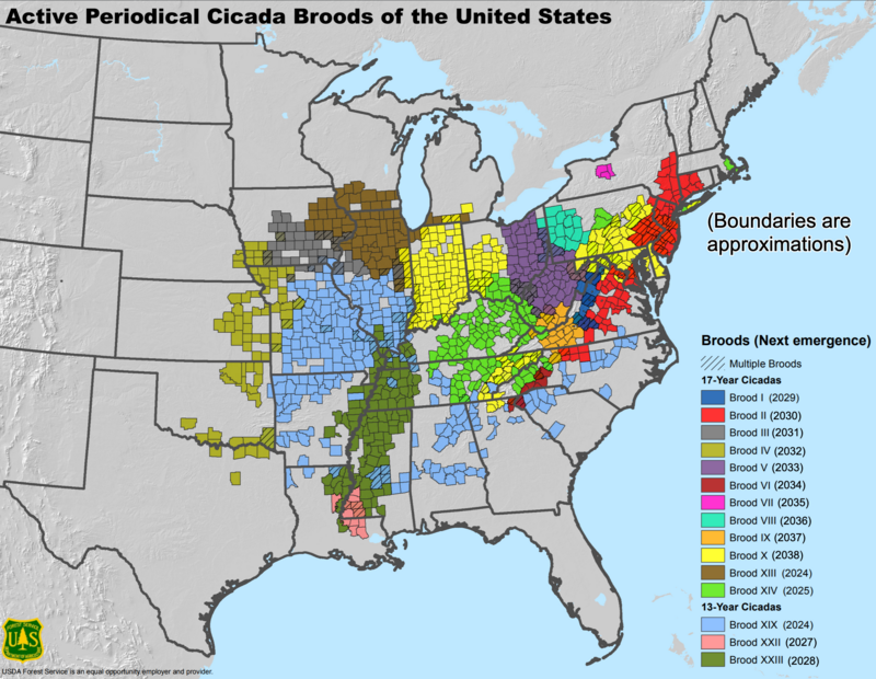 County-by-county map showing the locations of cicada broods, published May 2013