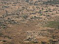 Trockensavannen­landschaft westlich von Ouagadougou