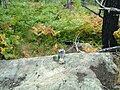 A cairn trail marker on Snowbank Trail. This is a typical trail marker found across State and National parks in the United States.