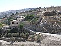 Approach road and garden of the monastery