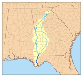 Stroomgebied (geel) van de Apalachicola (dik blauw), met zijn twee voedende zijrivieren: de Flint (links) en de Chattahoochee (rechts)