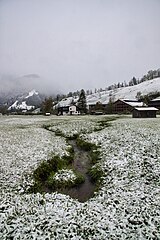 Biotop Im Moos Reuthe, Vorarlberg