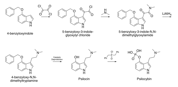 Hofmann Psilocybin Synthesis