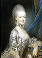 Η Μαρία Αντουανέττα σε ηλικία 13 ετών. Το συγκεκριμένο πορτρέτο στάλθηκε στον Δελφίνο για να πάρει μια ιδέα του πως ήταν εμφανισιακά η μελλοντική του γυναίκα (του Ζοζέφ Ντικρού, 1769).