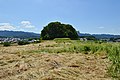 Rear circular mound (viewed from the front)