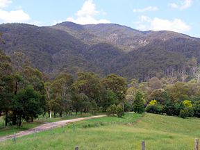 Mumbulla Mountain von Princes Highway aus