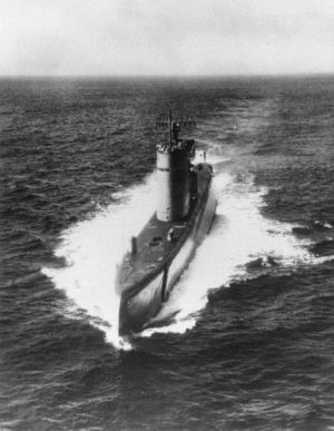 USS Salmon (SSR-573)