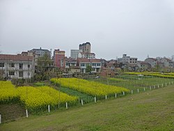 Xintan, one of the towns of Honghu City, seen from a Yangtze levee