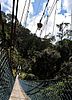 Suspension bridge in Ulu Temburong National Park