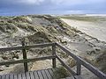 Amrum: Dünen und Kniepsand