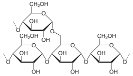 Gedeelte van een amylopectinepolymeer (Haworthprojectie)