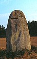 Menhir von Bissin