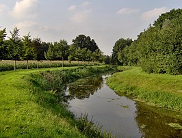 Bornsebeek bij Weleveld