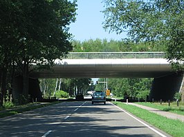 Natuurbrug Zanderij Crailoo