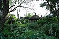 Das Foto zeigt eine üppige grüne Vegetation und polynesische Rundhütten.