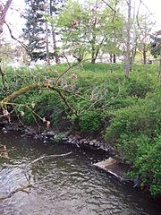 Sicht von der anderen Flussseite