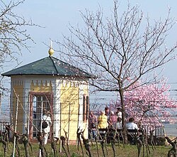 Pavillon am Mandelpfad in Gimmeldingen während der Mandelblüte