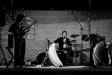 The Apes (left to right: Marco S. Soccol, Lorenzo Gualandris, Giorgio Facchinetti) performing in Ghisalba (BG)