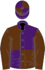 Purple and brown (quartered), brown sleeves, quartered cap