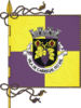 Flag of Carregal do Sal