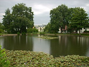 Vijver in Lohsa