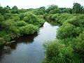 The Šešupė river near Pilviškiai