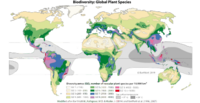 Die erste Weltkarte der Biodiversität von Pflanzen (hier überarbeitete Fassung Barthlott et al. 2014) zeigt die geographische Verteilung der globalen terrestrischen Biodiversität