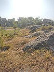 G-10 rock shelter, petroglyphs, and cup marks