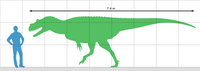 Size diagram