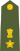 Lieutenant Colonel of the Indian Army