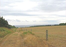 Landschap op Livø