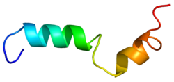 Cannabinoid-Rezeptor 2