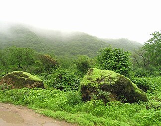 Das Gebiet bei Salalah während der Charif-Saison