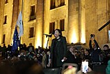 President Salome Zourabichvili addressed the crowd at the protest on 28 October 2024 at Parliament of Georgia