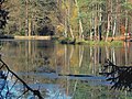 Stausee Haarweidenbach