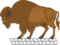 Original image of B. latifrons size chart...