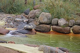 Fra selparken i Friedrichskoog