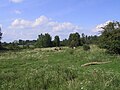 Die Landschaft der Bislicher Insel