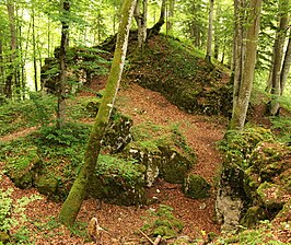 resten van Kasteelruïne Wallenburg Dürbheim