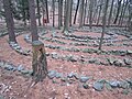 Waldlabyrinth vor dem ehemaligen Kloster Damme