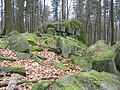 Flasergranitoid-Felsgruppe am Rimdidim-Hang (Gagernstein-Gruppe)