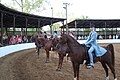 Kentucky Jodhpurs, 2006