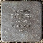 Stolperstein_Ilse_Herz