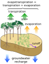 Siklus air pada permukaan bumi, menunjukan komponen tersendiri dari transpirasi dan evaporasi yang membentuk evaptranspirasi