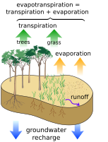 Where surface water goes