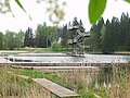 Het Vanamõisa järv met duikplanken