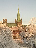 Nidaros domkirke - Nidarosdomen