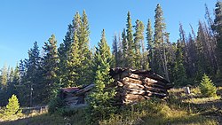 An abandoned cabin at Preston in 2020