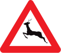 A27: Wildwechsel