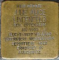 Braunschweig Kohlmarkt 12 Stolperstein Julie Alice Lindenfeld